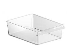 Rotho Loft Kühlschrank Organizer 5 L/Robuster Aufbewahrungsbehälter für Salat, Gemüse, Fleisch/Transparent/1x (31 x 22 x 9 cm)