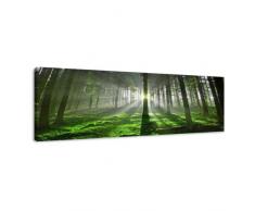 Visario Leinwandbilder 5706 Bild auf Leinwand Wald, 120 x 40 cm