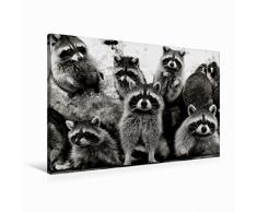 Premium Textil-Leinwand 90 cm x 60 cm quer Ein Motiv aus dem Kalender WaschbÃ¤ren - Maskierte Gauner | Wandbild, Bild auf Keilrahmen, Fertigbild auf echter Leinwand, Leinwanddruck