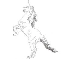 INDIGOS 4051095054535 Wandtattoo w614 Einhorn Pferd Tier fabelwesen 96 x 53 cm Wandaufkleber in 3 Größen, weiß