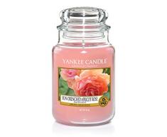 Yankee Candle große Duftkerze im Glas, Sun-Drenched Apricot Rose, Brenndauer bis zu 150 Stunden