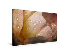 Calvendo Premium Textil-Leinwand 90 cm x 60 cm quer, Romantische Rosen - Shabby Chic Style | Wandbild, Bild auf Keilrahmen, Fertigbild auf echter Leinwand, Leinwanddruck Natur Natur