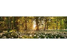 Pro-Art g1713s Wandbild Giclée Sweet woodruff 90 x 30 cm