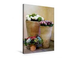 Calvendo Premium Textil-Leinwand 50 cm x 75 cm hoch, mediteranes Trio | Wandbild, Bild auf Keilrahmen, Fertigbild auf echter Leinwand, Leinwanddruck Natur Natur