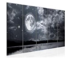 Bilder Landschaft Mond Wandbild 200 x 80 cm Vlies - Leinwand Bild XXL Format Wandbilder Wohnzimmer Wohnung Deko Kunstdrucke Grau 5 Teilig - MADE IN GERMANY - Fertig zum AufhÃ¤ngen 607555b