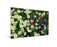 Premium Textil-Leinwand 120 x 80 cm Quer-Format Wildkräuter Schönheiten | Wandbild, HD-Bild auf Keilrahmen, Fertigbild auf hochwertigem Vlies, Leinwanddruck von Avianaarts Design Fotografie by Tanja Riedel