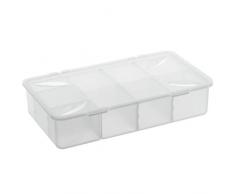Rotho Snappy Aufbewahrungsboxen mit Einteilungen, Polypropylen, Transparent, 3 Liter