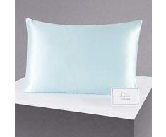 Alaska Bear Kissenbezug aus natürlicher Seide, hypoallergen, 19 Momme, Fadenzahl 600, 100 % Maulbeerseide, Queen-Size-Größe mit verstecktem Reißverschluss Queen 20x30 Z-Pale Blue (Diamond Edition)