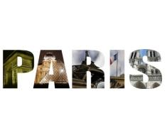 INDIGOS 4052166112598 Wandtattoo w541 Hunde Wandaufkleber 120 x 29 cm, orange