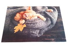 oKu-Tex Fußmatte | Schmutzfangmatte | Deco-Star | Aufdruck/Motiv | schlafende Katze | Tiere | Dekorativ | Innenbereich | rutschfest | 50x80 cm