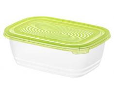 Rotho Sunshine Frischhaltedose 1 l, Kunststoff (BPA-frei), Grün/Transparent, 1 Liter (19,5 x 13,5 x 7 cm)