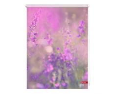 Lichtblick Rollo Klemmfix, 120 x 150 cm mit Motiv Blumenwiese - Fuchsia Violett Montage ohne Bohren, moderner Sicht-und Sonnenschutz, Motivrollo, lichtdurchlässig & Blickdicht