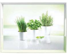 Emsa 504861 Tablett mit Herbs Dekor, Größe 50 x 37 cm, Classic