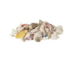Relaxdays Muschel Deko Mix, Set mit Meeresschnecken, Dekomuscheln, echte Stranddeko zum Basteln, Badezimmer, 500 g, bunt