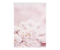 Lichtblick Rollo Klemmfix, 70 x 150 cm mit Motiv Kirschblüten - Rosa Weiß Montage ohne Bohren, moderner Sicht-und Sonnenschutz, Motivrollo, lichtdurchlässig & Blickdicht