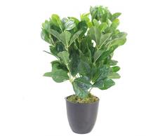 Leaf Kunstpflanze, 45 cm, Geranien (PolyScias Guilfoylei), 45cm Aralia