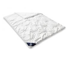 Badenia Bettcomfort Steppbett Irisette Atmosphere leicht Sommerdecke, 135 x 200 cm, weiß