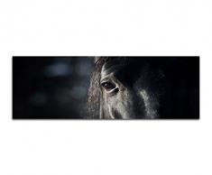 Panoramabild auf Leinwand und Keilrahmen 150x50cm Pferd Kopf Auge Dunkelheit
