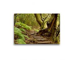 Premium Textil-Leinwand 45 x 30 cm Quer-Format Im Parque Nacional de Garajonay | Wandbild, HD-Bild auf Keilrahmen, Fertigbild auf hochwertigem Vlies, Leinwanddruck von Christine Witzel