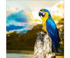 Pro-Art g1813k Wandbild GiclÃ©e Parakeet I 70 x 70 cm