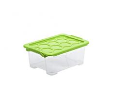 Rotho Aufbewahrungsbox Evo Safe Keeping Aufbewahrungskiste, Polypropylen, Transparent/Green, 11 L