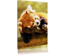 Pixxprint Leinwandbild, Bunt