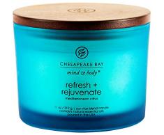 Chesapeake Bay Candle Scented Candle, Refresh + Rejuvenate (Mediterranean Citrus), Coffee Table