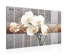 Bilder Blumen Orchidee Wandbild Vlies - Leinwand Bild XXL Format Wandbilder Wohnzimmer Wohnung Deko Kunstdrucke Braun 1 Teilig - MADE IN GERMANY - Fertig zum Aufhängen 204614a
