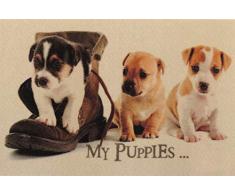 oKu-Tex Design Fußmatte Hunde Welpen Puppies, lustiges & niedliches Motiv, rutschfest & waschbar, Deko Dekorativ, beige, 40 x 60 cn