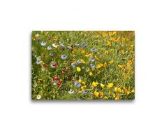 Premium Textil-Leinwand 45 x 30 cm Quer-Format Wildblumen für Bienen mit Goldmohn und Junger im Grünen | Wandbild, HD-Bild auf Keilrahmen, Fertigbild auf hochwertigem Vlies, Leinwanddruck von Meike Bölts