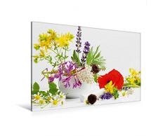 Premium Textil-Leinwand 120 x 80 cm Quer-Format Bunte Wildkräuter aus dem Naturgarten | Wandbild, HD-Bild auf Keilrahmen, Fertigbild auf hochwertigem Vlies, Leinwanddruck von Avianaarts Design Fotografie by Tanja Riedel