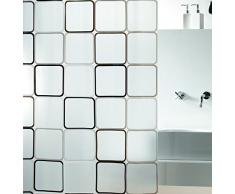 Spirella Anti-Schimmel Duschvorhang Frame Anti-Bakteriell, Waschbar, Wasserdicht PEVA 180x200cm Durchsichtig