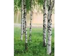 Idealdecor Fototapete, Bunt