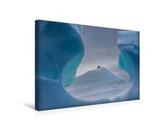 Premium Textil-Leinwand 45 x 30 cm Quer-Format Antarktis - Pinguin im Fenster | Wandbild, HD-Bild auf Keilrahmen, Fertigbild auf hochwertigem Vlies, Leinwanddruck von Michael Altmaier