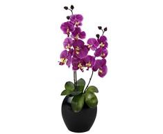 Orchidee in Vase