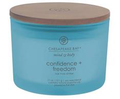 Chesapeake Bay Candle Scented Candle, Confidence + Freedom (Oak Moss Amber), Coffee Table