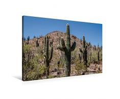Calvendo Premium Textil-Leinwand 90 cm x 60 cm quer, Arizona Sonora Wüste | Wandbild, Bild auf Keilrahmen, Fertigbild auf echter Leinwand, Leinwanddruck: Typische Landschaft Natur Natur