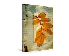 Calvendo Premium Textil-Leinwand 50 cm x 75 cm hoch, Vintage Herbsblatt | Wandbild, Bild auf Keilrahmen, Fertigbild auf echter Leinwand, Leinwanddruck: Natur im Shabby Style Natur Natur