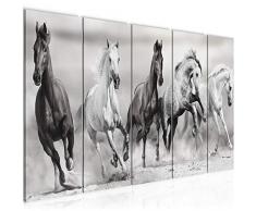 Bilder Pferde Wandbild 200 x 80 cm Vlies - Leinwand Bild XXL Format Wandbilder Wohnzimmer Wohnung Deko Kunstdrucke Weiß 5 Teilig - MADE IN GERMANY - Fertig zum Aufhängen 014155c