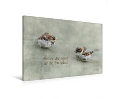 Premium Textil-Leinwand 120 cm x 80 cm quer, Puschelige Spatzen und Irischer Segenswunsch | Wandbild, Bild auf Keilrahmen, Fertigbild auf echter Leinwand, Leinwanddruck: Tierszene (CALVENDO Tiere);CALVENDO Tiere