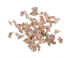 Rayher Hobby 34243000 Rosenblütenblätter, hell, 5g, getrocknet, duftintensive, aromatische Deko, Blütenmischungen, ideal zum Einarbeiten in Badekugeln, Knetseife und Badesalz, Echtblüten