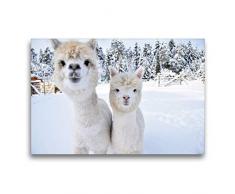 Premium Textil-Leinwand 75 x 50 cm Quer-Format Alpakas Schneegestöber | Wandbild, HD-Bild auf Keilrahmen, Fertigbild auf hochwertigem Vlies, Leinwanddruck von Heidi Rentschler