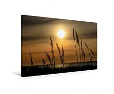 Calvendo Premium Textil-Leinwand 90 x 60 cm Quer-Format GrÃ¤ser an der Ostsee | Wandbild, HD-Bild auf Keilrahmen, Fertigbild auf hochwertigem Vlies, Leinwanddruck von Thomas JÃ¤ger Natur Natur