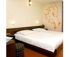 INDIGOS 4052166001076 Wandtattoo W078 Drache, Kopf, Schnautze Wandaufkleber 80 x 52 cm, orange