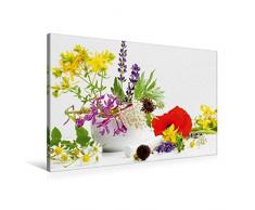 Premium Textil-Leinwand 90 x 60 cm Quer-Format Bunte Wildkräuter aus dem Naturgarten | Wandbild, HD-Bild auf Keilrahmen, Fertigbild auf hochwertigem Vlies, Leinwanddruck von Avianaarts Design Fotografie by Tanja Riedel