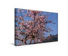 Calvendo Premium Textil-Leinwand 45 cm x 30 cm quer, Hambacher SchloÃ, Neustadt | Wandbild, Bild auf Keilrahmen, Fertigbild auf echter Leinwand, Leinwanddruck Natur Natur