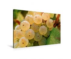Calvendo Premium Textil-Leinwand 90 cm x 60 cm quer, Rheingau Riesling Trauben - Rauenthaler Baiken | Wandbild, Bild auf Keilrahmen, Fertigbild auf echter Leinwand, Leinwanddruck Natur Natur