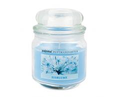 pajoma Duftkerze Eisblume Sweet Christmas Edition im Bonbonglas, 248 g, Premium Kerze zum verschließen, für Circa 55 Stunden, Kerze perfekt für Weihnachten