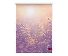 Lichtblick Rollo Klemmfix, 70 x 150 cm mit Motiv Sommerabend - Orange Montage ohne Bohren, moderner Sicht-und Sonnenschutz, Motivrollo, lichtdurchlässig & Blickdicht
