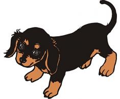 INDIGOS 4051719936728 Wandtattoo MD229 kleiner süßer Dackel 80 x 69 cm, bunt farbig